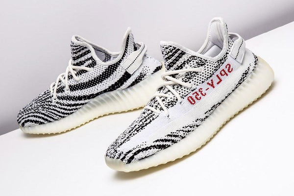 yeezy on feet zebra